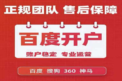 SEM推广优化策略：成功案例解析
